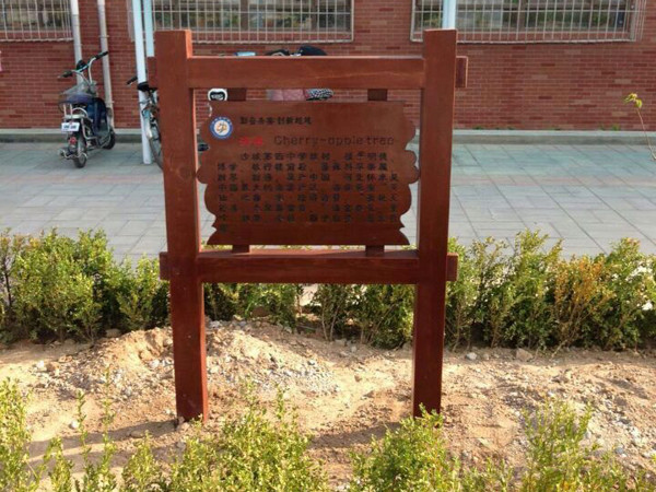 beautiful-thumbnail-hover-effect-01